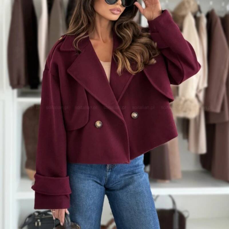 Jaket Atasan Wanita Gaya Kasua - Street Fashion Taiwan ulasan dan harga